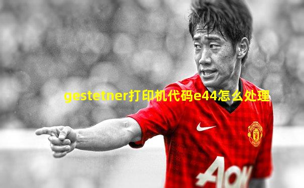 gestetner打印机代码e44怎么处理