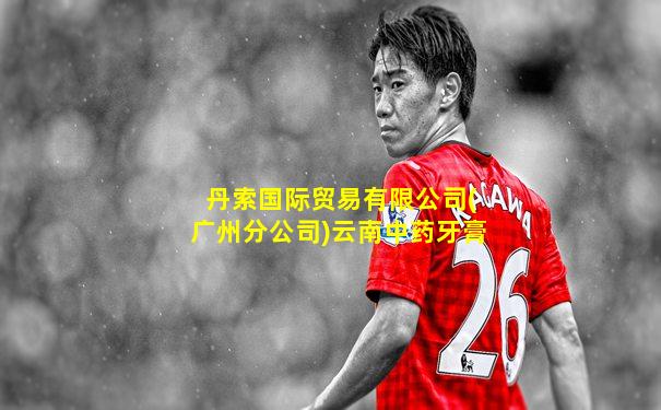丹索国际贸易有限公司(广州分公司)云南中药牙膏