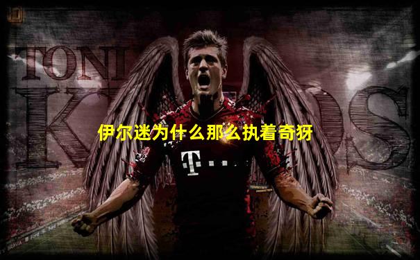 伊尔迷为什么那么执着奇犽
