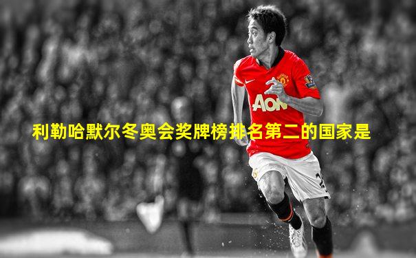 利勒哈默尔冬奥会奖牌榜排名第二的国家是