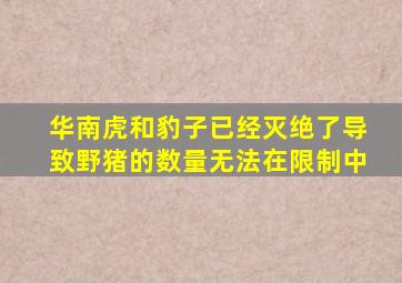 华南虎和豹子已经灭绝了导致野猪的数量无法在限制中