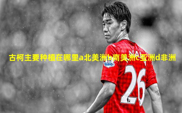 古柯主要种植在哪里a北美洲b南美洲c亚洲d非洲