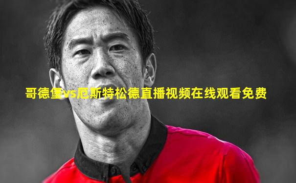 哥德堡vs厄斯特松德直播视频在线观看免费