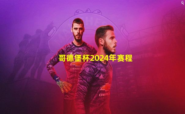 哥德堡杯2024年赛程