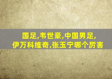 国足,韦世豪,中国男足,伊万科维奇,张玉宁哪个厉害