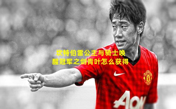坎特伯雷公主与骑士唤醒冠军之剑青叶怎么获得