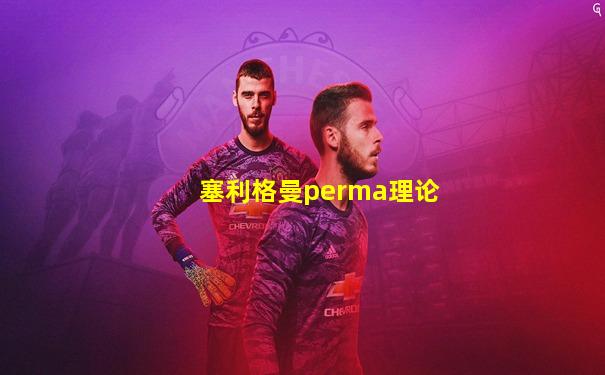 塞利格曼perma理论