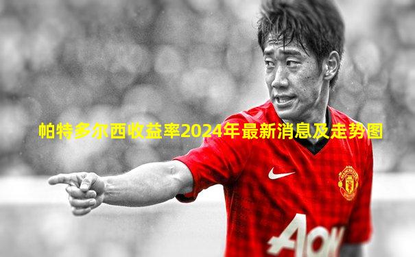 帕特多尔西收益率2024年最新消息及走势图