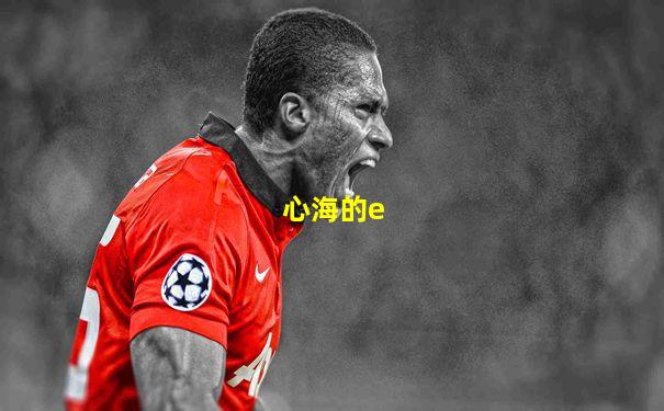 心海的e