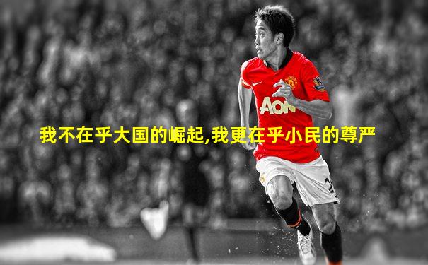 我不在乎大国的崛起,我更在乎小民的尊严