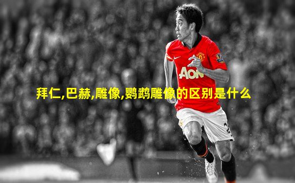 拜仁,巴赫,雕像,鹦鹉雕像的区别是什么