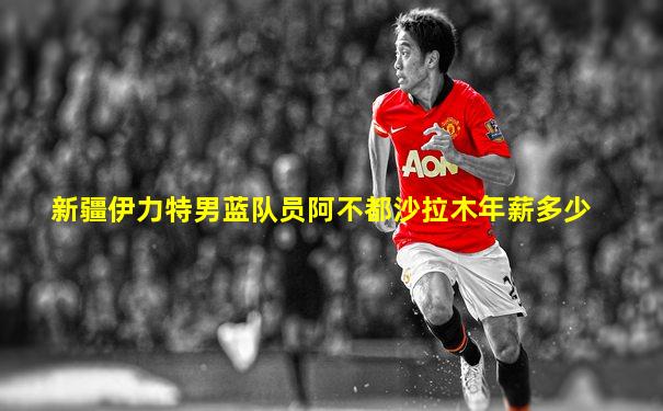 新疆伊力特男蓝队员阿不都沙拉木年薪多少