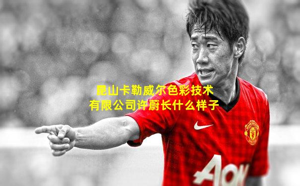昆山卡勒威尔色彩技术有限公司许蔚长什么样子