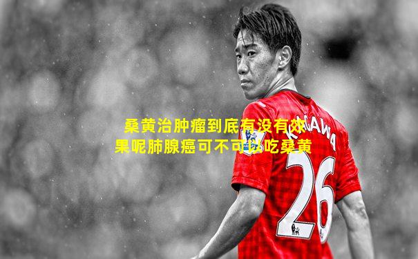 桑黄治肿瘤到底有没有效果呢肺腺癌可不可以吃桑黄