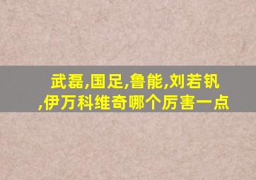 武磊,国足,鲁能,刘若钒,伊万科维奇哪个厉害一点