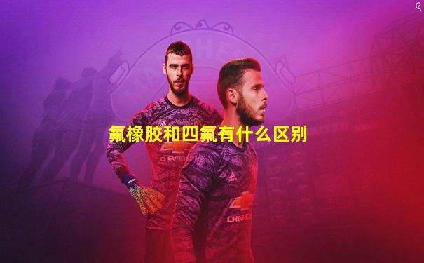 氟橡胶和四氟有什么区别