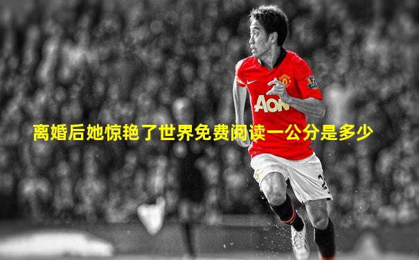 离婚后她惊艳了世界免费阅读一公分是多少
