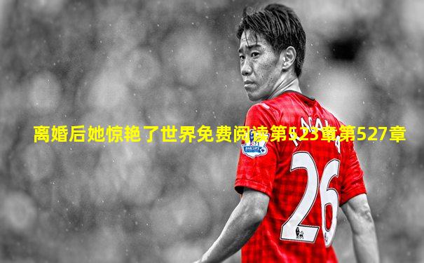 离婚后她惊艳了世界免费阅读第523章第527章