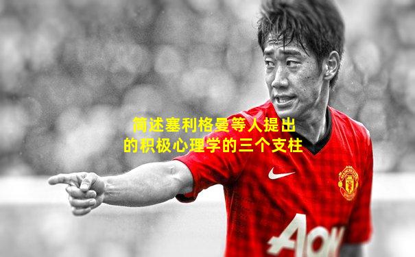 简述塞利格曼等人提出的积极心理学的三个支柱