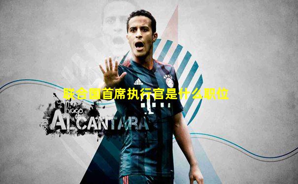 联合国首席执行官是什么职位
