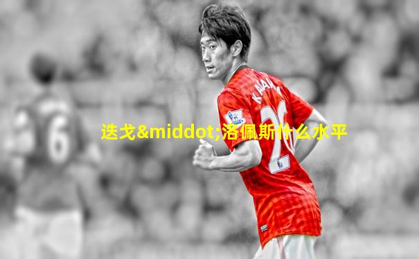 迭戈·洛佩斯什么水平