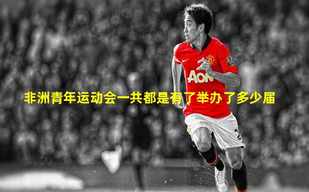 非洲青年运动会一共都是有了举办了多少届